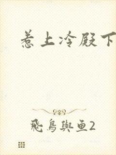 惹上冷殿下免费