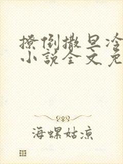 撩倒撒旦冷殿下小说全文免费阅读