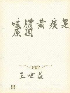 咳脓黄痰是什么原因