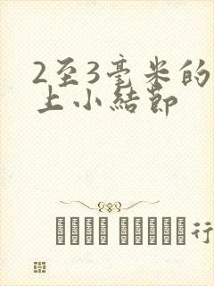 2至3毫米的肺上小结节