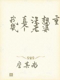 我真没想重生啊几个老婆