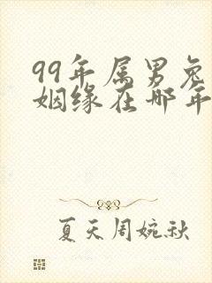 99年属男兔的姻缘在哪年