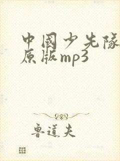 中国少先队队歌原版mp3封面