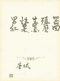 男性生殖器老是红是怎么回事