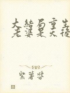 大结局重生我的老婆是天后