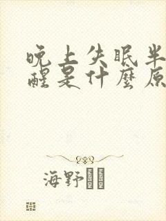 晚上失眠半夜老醒是什么原因