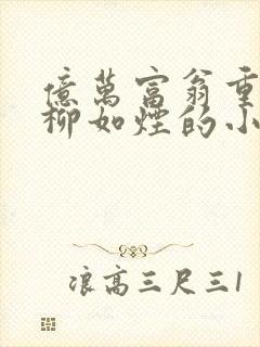 亿万富翁重生,柳如烟的小说