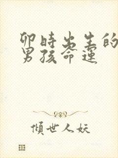 卯时出生的属猴男孩命运