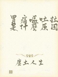 胃痛呕吐拉肚子是什么原因