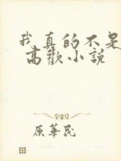 我真的不是重生 高欢小说