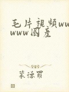 毛片视频wwwwww国产