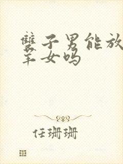 双子男能放下白羊女吗