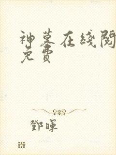 神墓在线阅读 免费