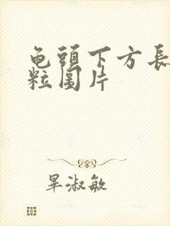 龟头下方长小肉粒图片