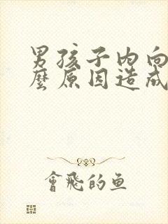 男孩子内向是什么原因造成的封面