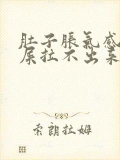 肚子胀气感觉有屎拉不出来