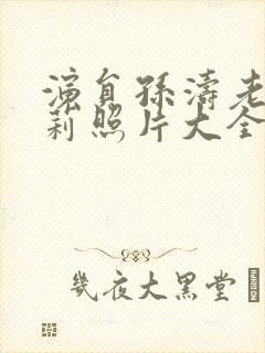 演员孙涛老婆李莉照片大全封面