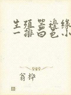 生殖器边缘多了一排白色小疙瘩