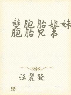 双胞胎姐妹和双胞胎兄弟