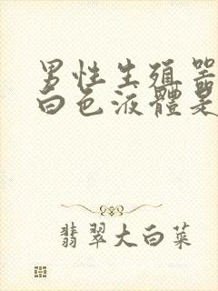 男性生殖器排出白色液体是什么原因