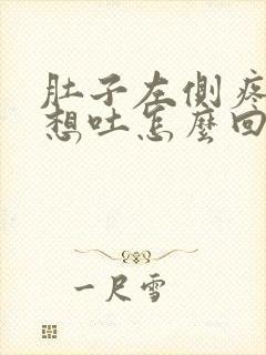 肚子左侧疼有点想吐怎么回事