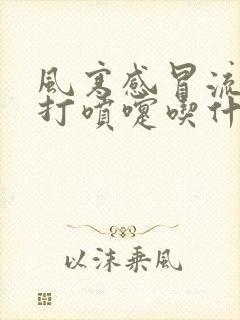 风寒感冒流鼻子打喷嚏吃什么药