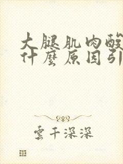 大腿肌肉酸痛是什么原因引起的