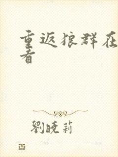 重返狼群在哪里看