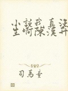 小说我真没想重生啊陈汉升阅读