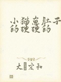 小猫崽肚子鼓鼓的硬硬的