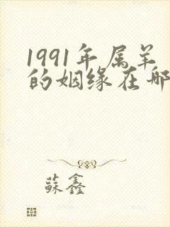 1991年属羊的姻缘在哪年封面