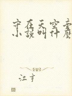 守在天空旁原著小说叫什么名字封面