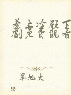 惹上冷殿下电视剧免费观看全集封面