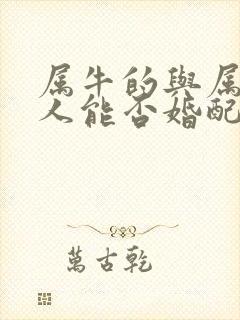 属牛的与属马的人能否婚配