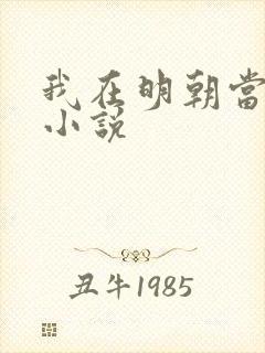 我在明朝当侯爷小说封面