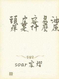 头皮容易油容易痒是什么原因