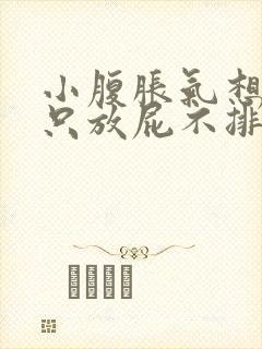 小腹胀气想大便只放屁不排便