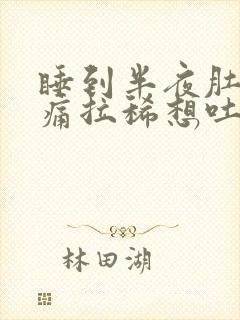 睡到半夜肚子绞痛拉稀想吐