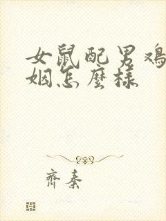 女鼠配男鸡的婚姻怎么样