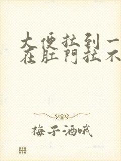 大便拉到一半堵在肛门拉不出来怎么办