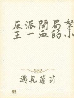 反派开局拿下女主一血的小说封面