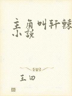 主角叫轩辕龙的小说