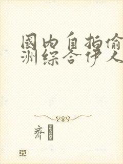 国内自拍偷区亚洲综合伊人封面