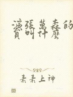 演张万森的男演员叫什么封面