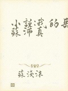 小说:我的岳母苏沛真