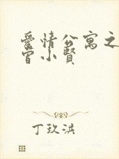 爱情公寓之极品曾小贤封面