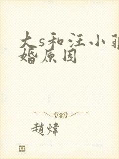 大s和汪小菲离婚原因