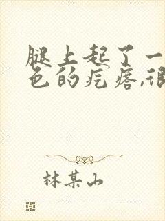 腿上起了一些红色的疙瘩,很痒