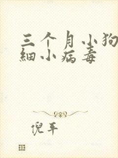 三个月小狗感染细小病毒