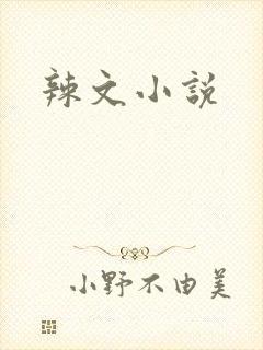 辣文小说